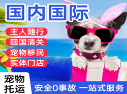 威海大水泊机场空运国际宠物托运 【国